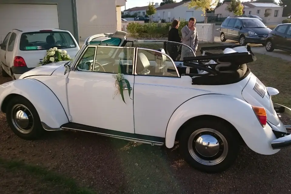 Aurélien Méchineau — photo 2