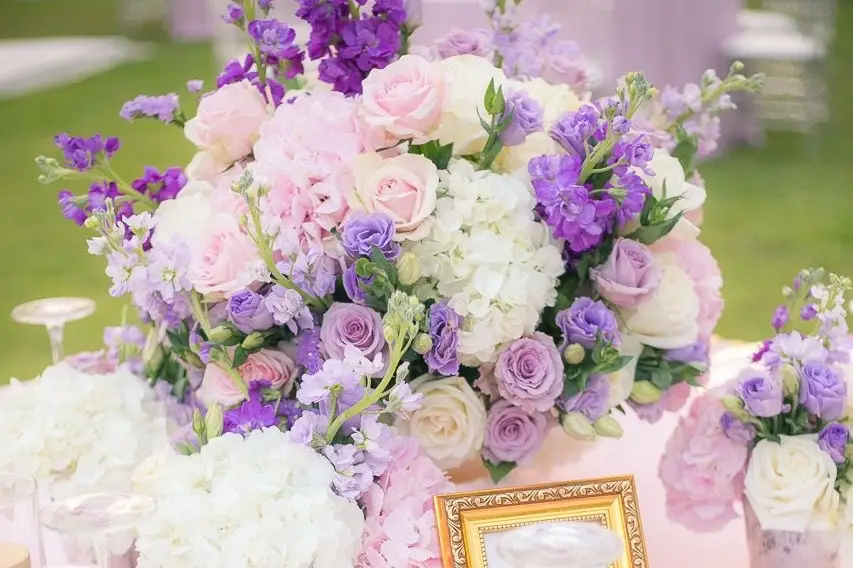 Twilly Event — photo 4