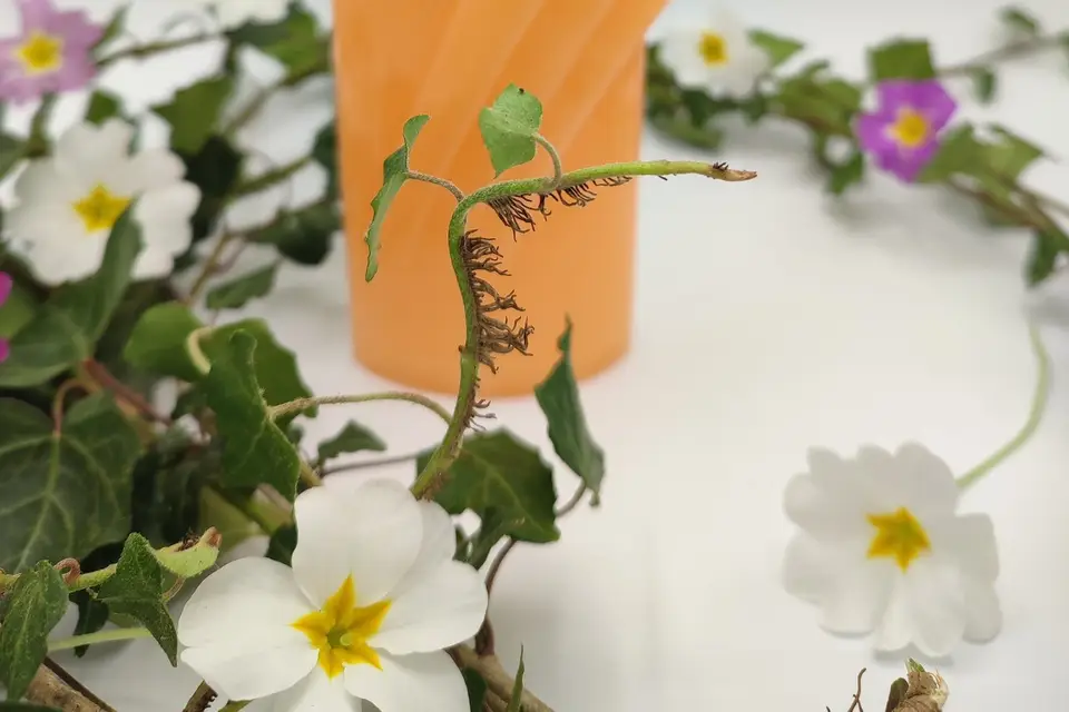 La Flamme Parfumée — photo 6