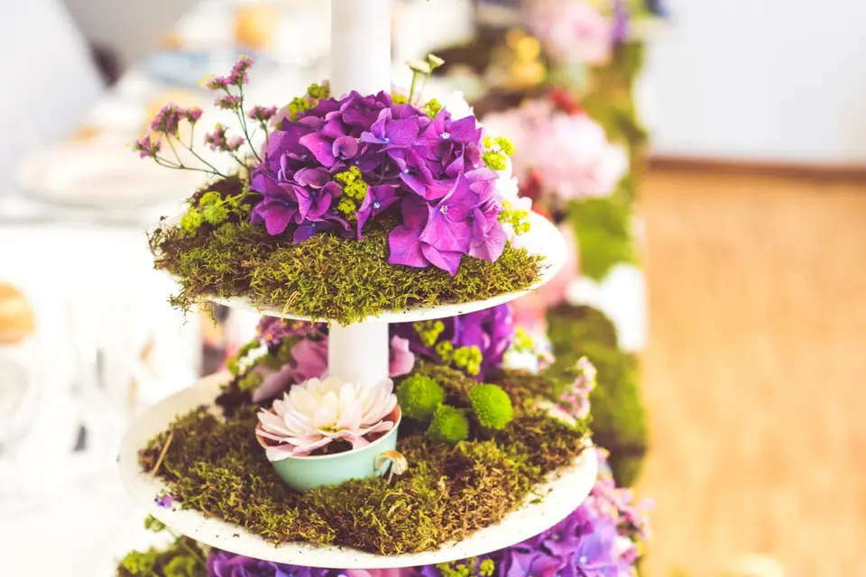 Pupilles-Papilles — photo 8