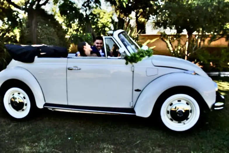 Loc-cars-collection — photo 1