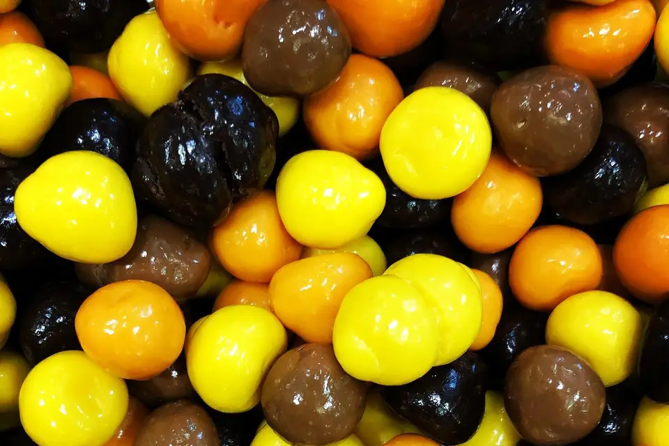 Gourmandine — photo 4