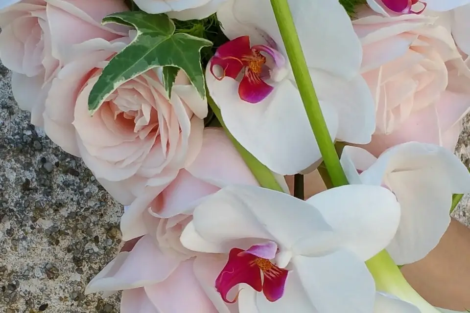 BDF - Bande De Fleurs — photo 5