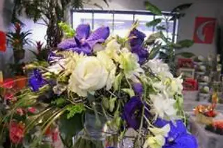 La Halle aux Fleurs — photo 1