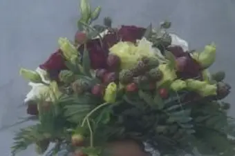 La Halle aux Fleurs — photo 2