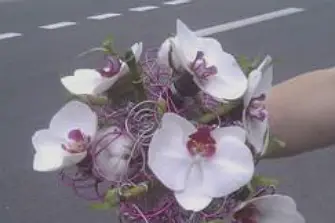 La Halle aux Fleurs — photo 3