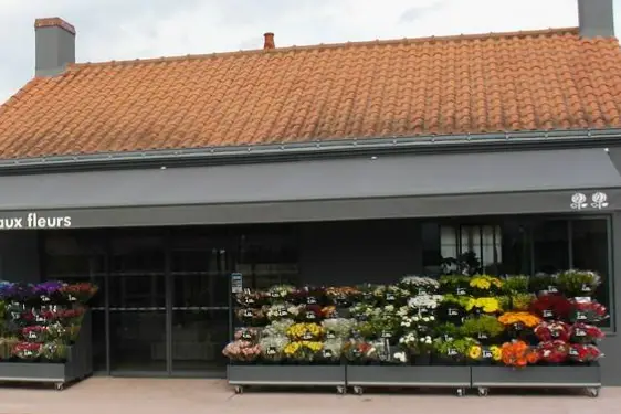 La Halle aux Fleurs — photo 6