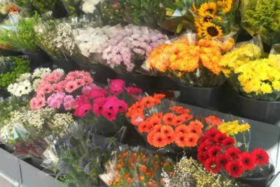 La Halle aux Fleurs — photo 7