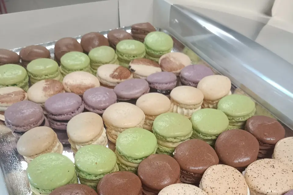 En-cas de Création — photo 1