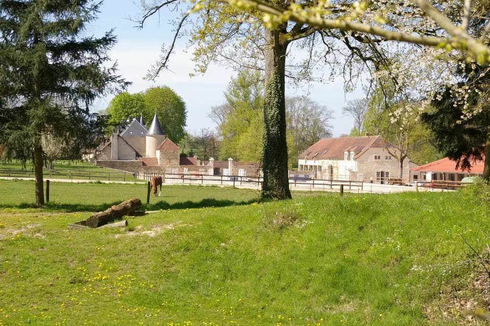 Ferme Equestre Lagesse — photo 4