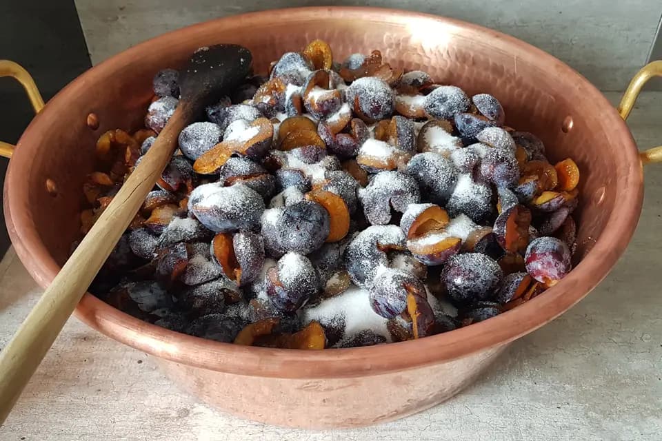 Le Cœur du Fruit — photo 5