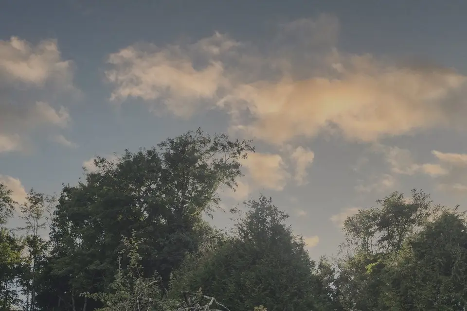 Marie-Amélie Saillet — photo 2