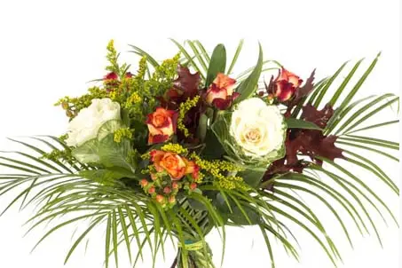 VillaVerde - Olonne sur Mer — photo 6