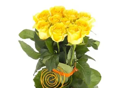 VillaVerde - Olonne sur Mer — photo 4