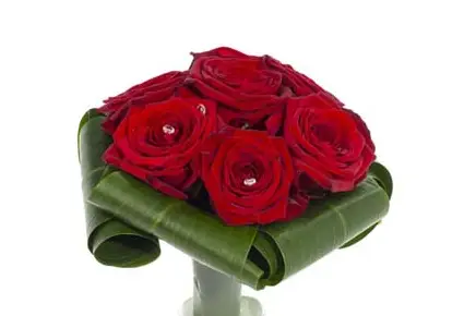 VillaVerde - Olonne sur Mer — photo 7