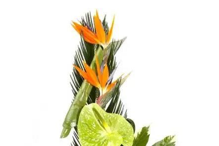 VillaVerde - Olonne sur Mer — photo 5