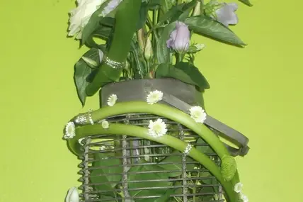 L'Arrosoir de Mireille — photo 2