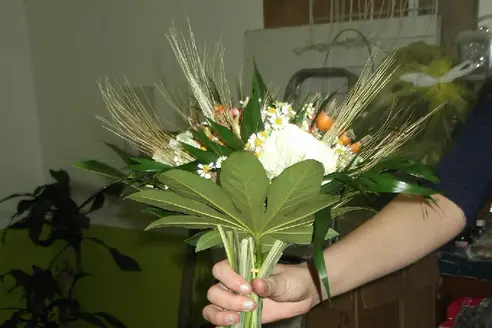 L'Arrosoir de Mireille — photo 5