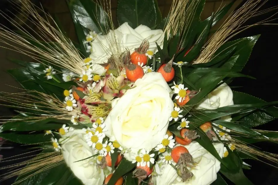 L'Arrosoir de Mireille — photo 4