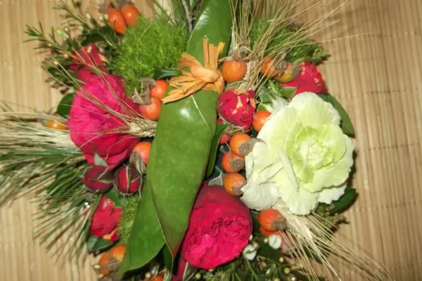 L'Arrosoir de Mireille — photo 3