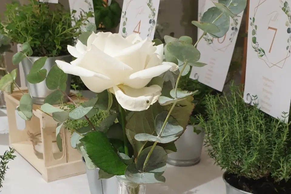 Mariage Création — photo 7