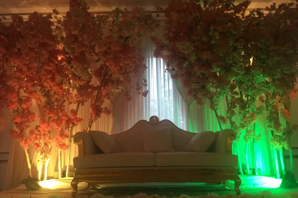 Sandra.D — photo 5