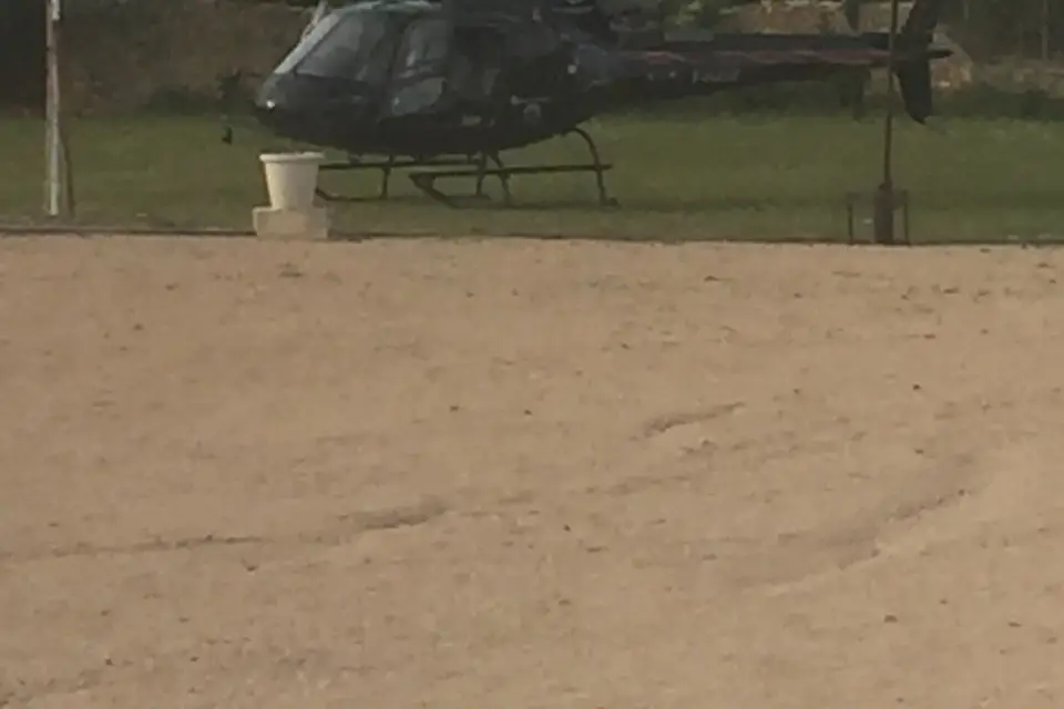 Sandra.D — photo 8