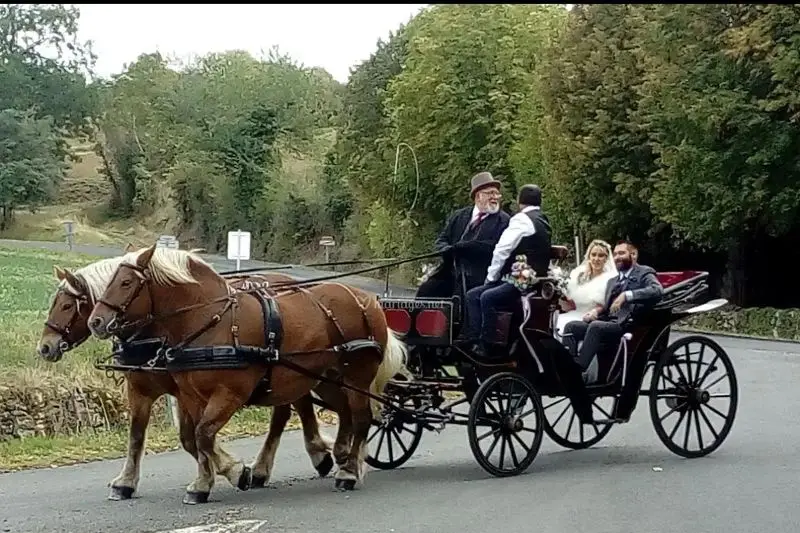 Les Attelages de Saint Priest Bramefant — photo 1