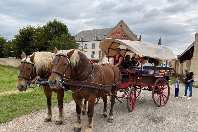 Les Attelages de Saint Priest Bramefant — photo 3