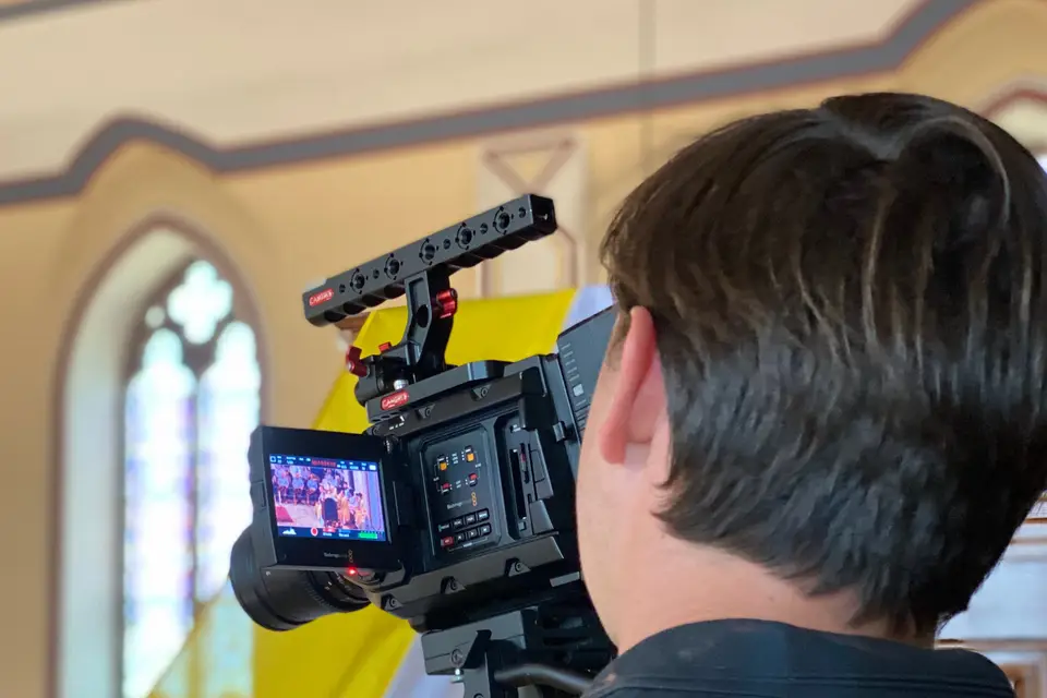 Mardi Vision — photo 1