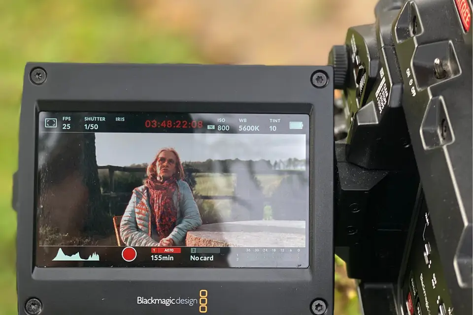 Mardi Vision — photo 2