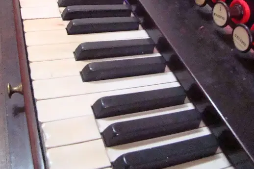 Cécile Lemaire — photo 1