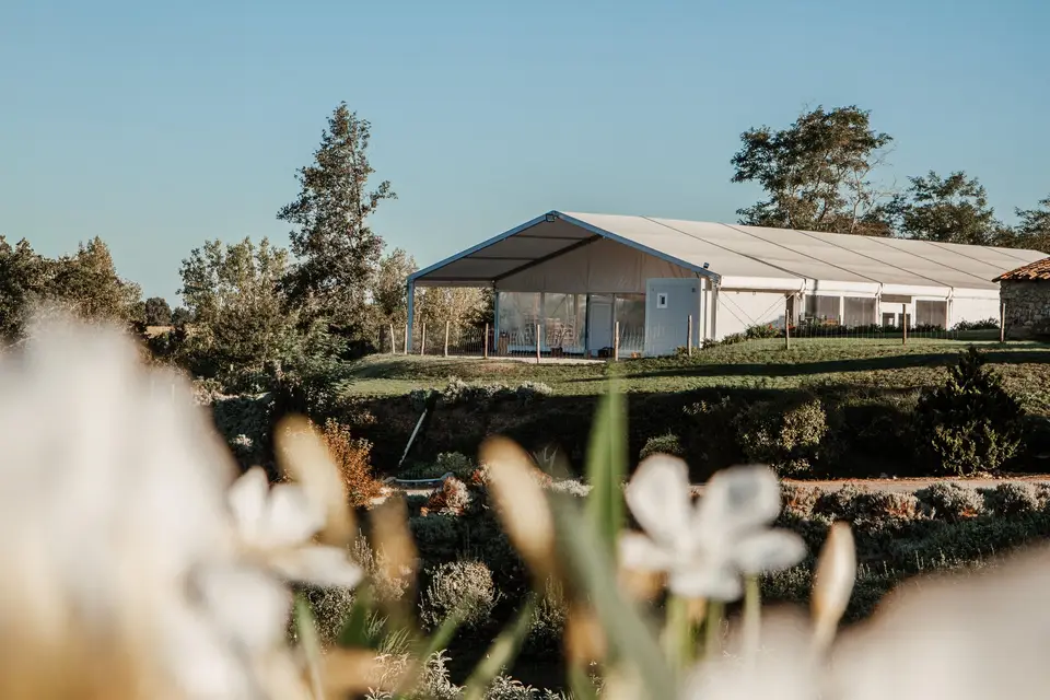 Domaine du Pigné — photo 8