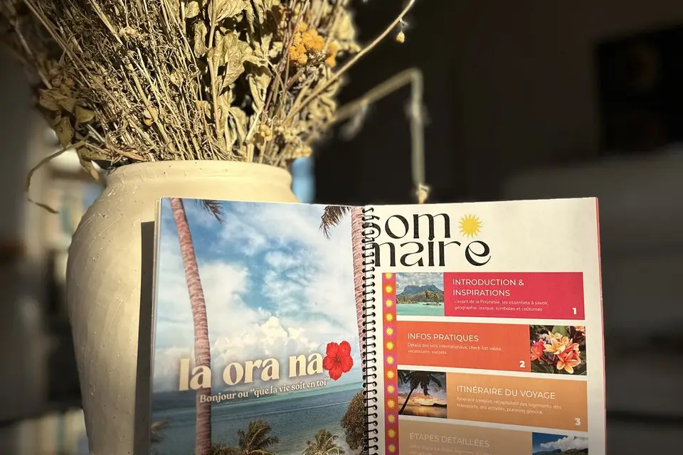 Bidaya Voyages — photo 3