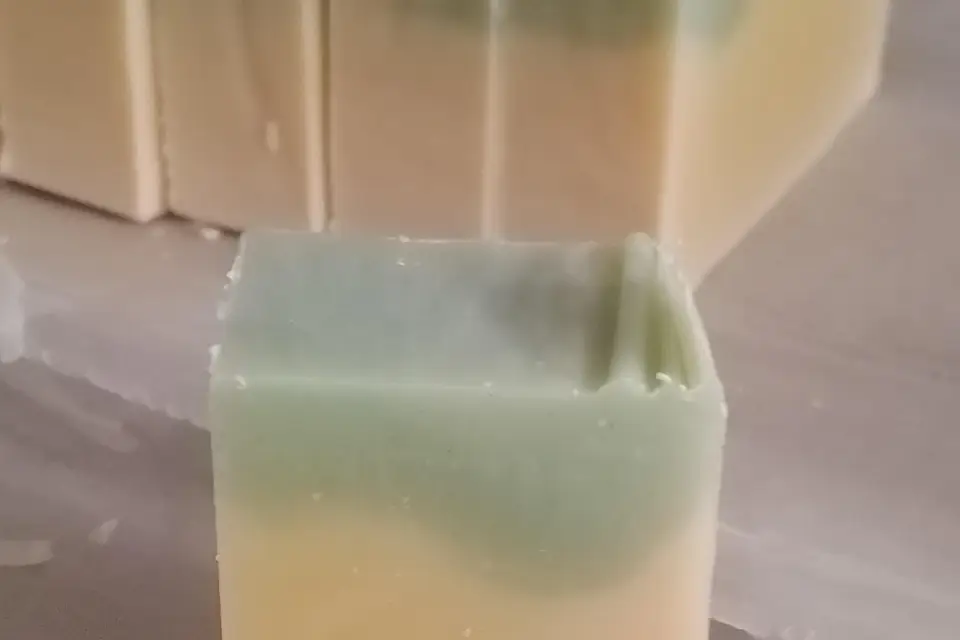 Bulle de m'Alice — photo 7