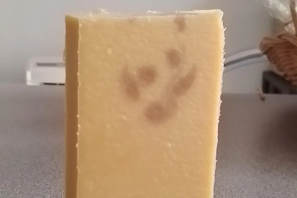 Bulle de m'Alice — photo 8