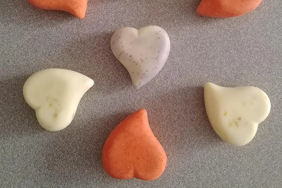 Bulle de m'Alice — photo 3