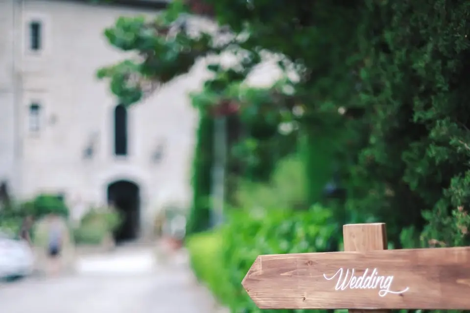 In The Wood For Love — photo 2