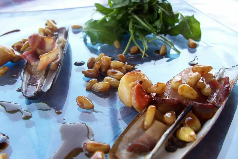 Major d'Home — photo 7