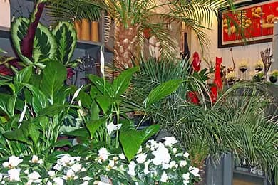 L'Atelier des Fleurs — photo 4