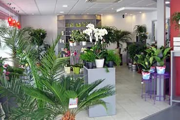 L'Atelier des Fleurs — photo 5