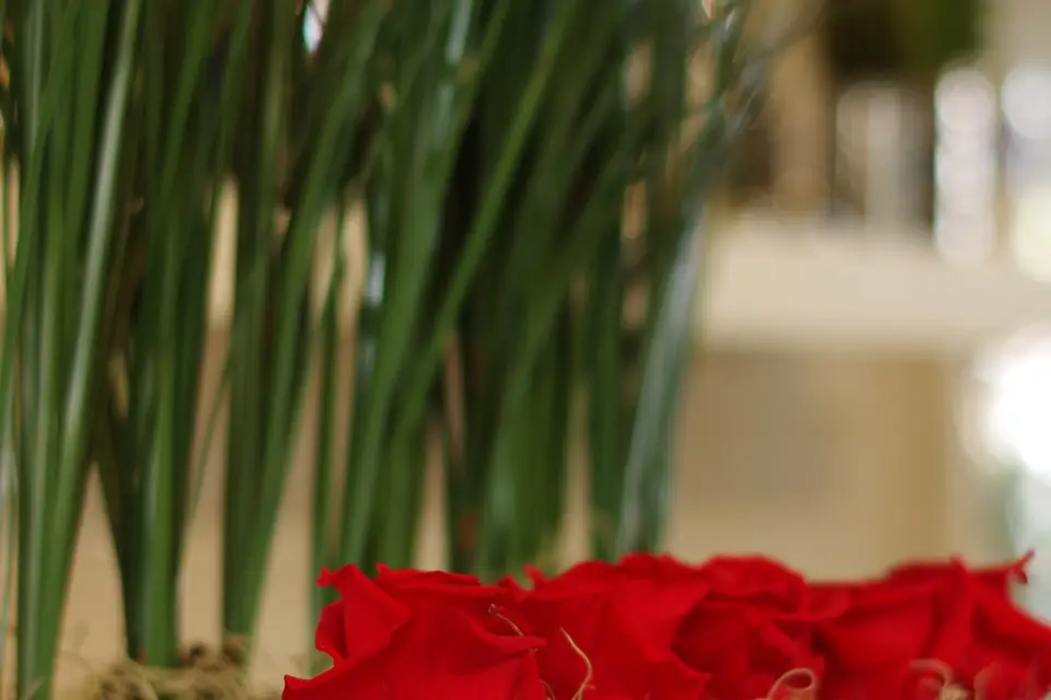 Floralys — photo 4