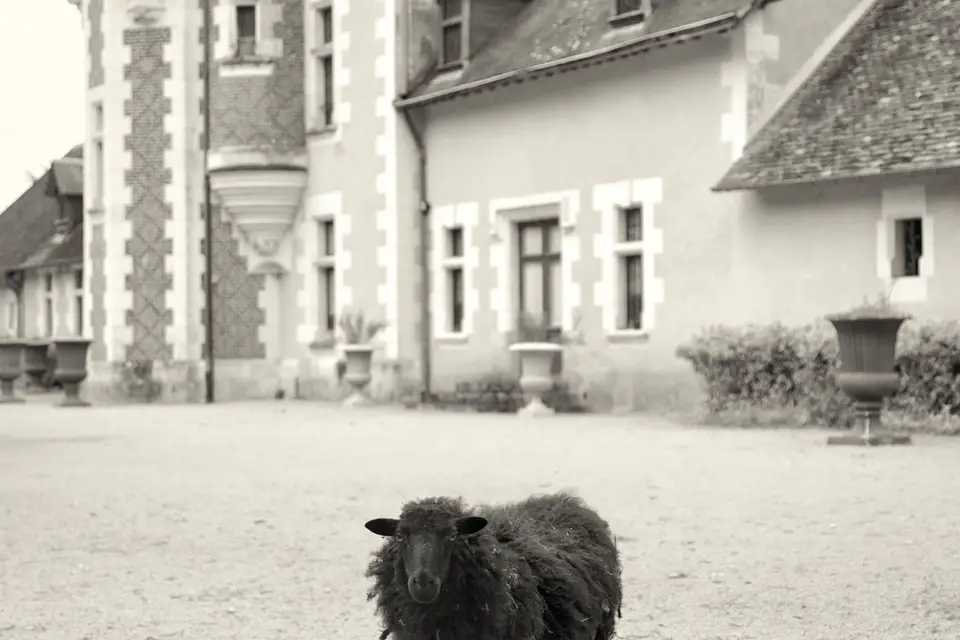 Château de Troussay — photo 8