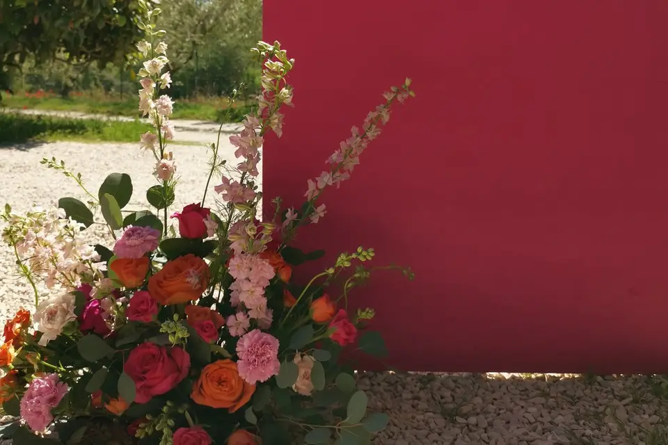 Célébration — photo 8