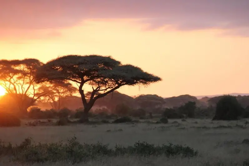 Reve Voyages — photo 2