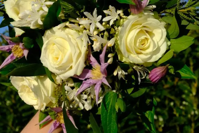 L'île Ô Lilas — photo 5