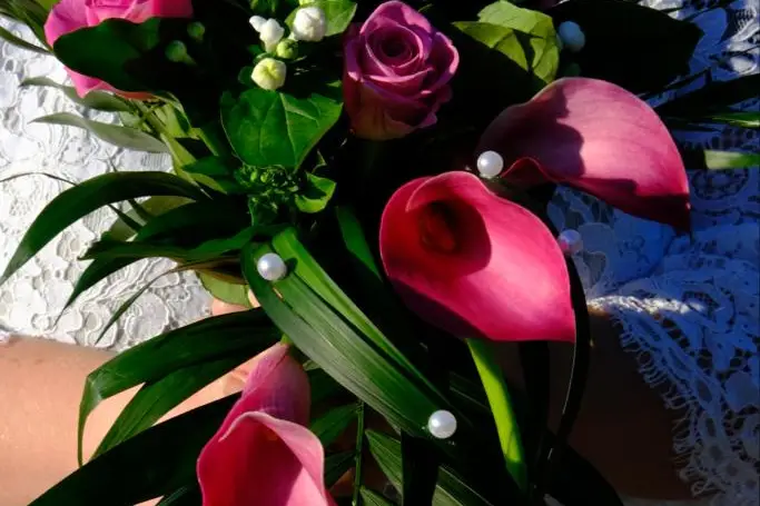 L'île Ô Lilas — photo 7