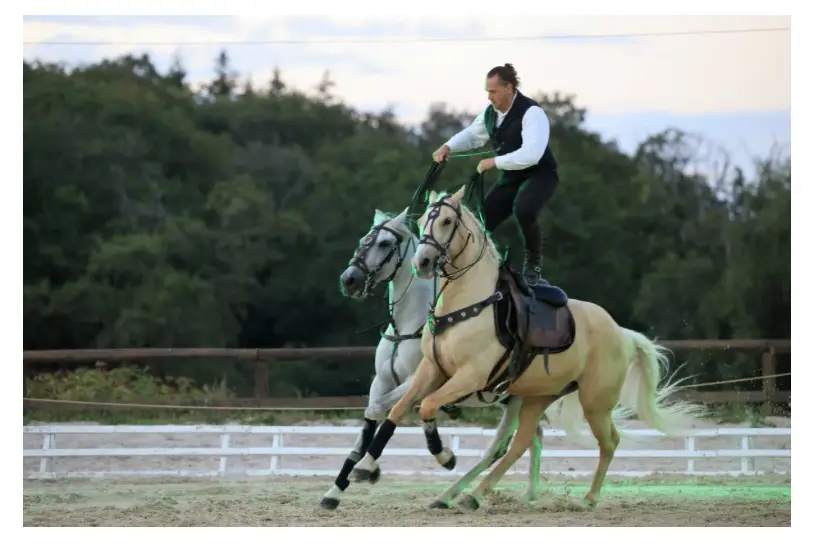 Compagnie Xanthos — photo 2