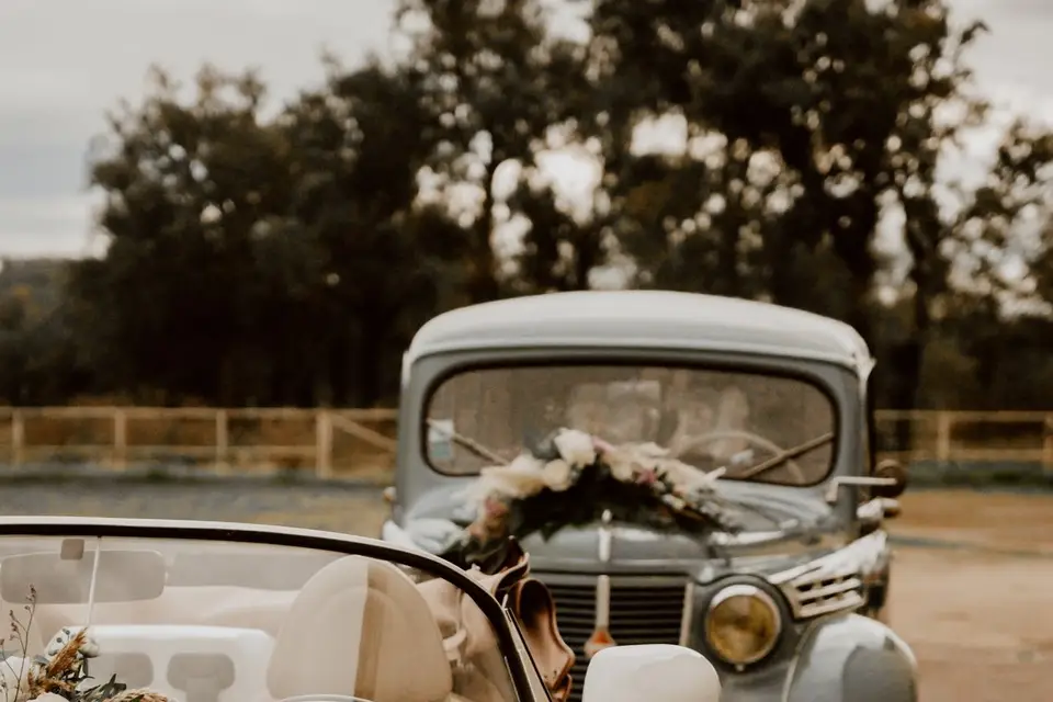 La Vie en Roses — photo 6