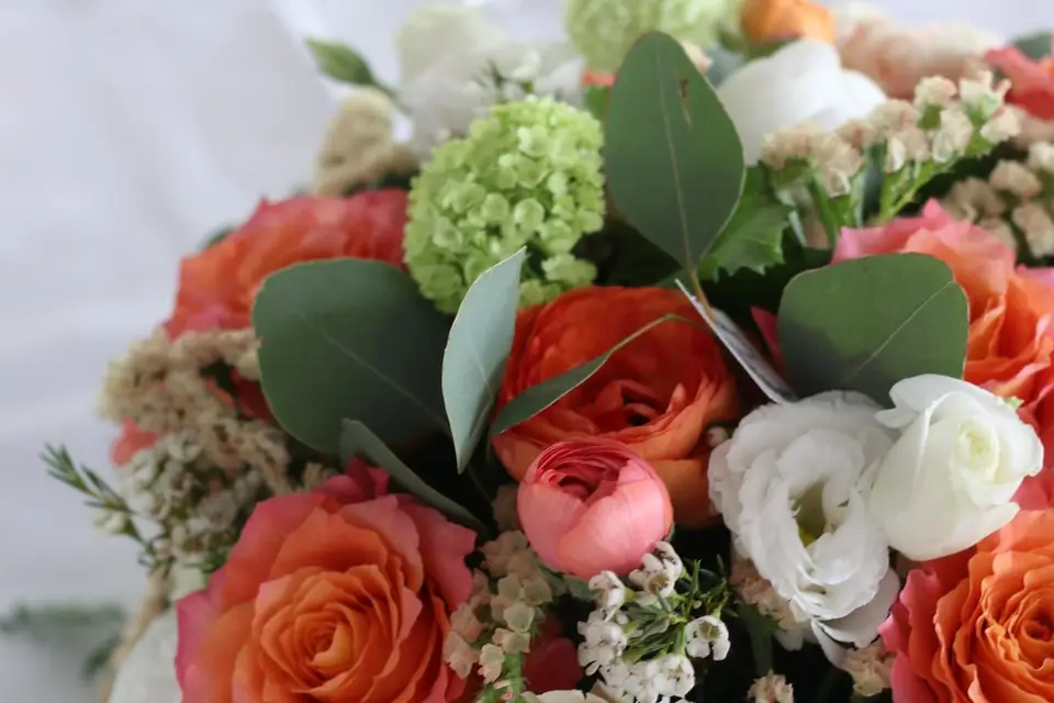 La Vie en Roses — photo 5